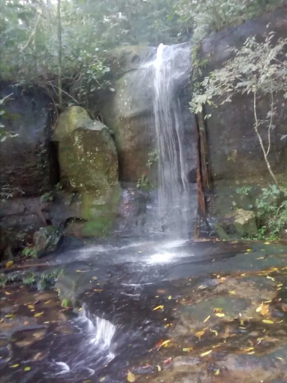 MBATOVI PARAGUARÍ: UNA JOYA! 26 HAS, CON CASACADAS Y ARROYOS IDEAL P TURISMO Y QUINTA. — foto 2