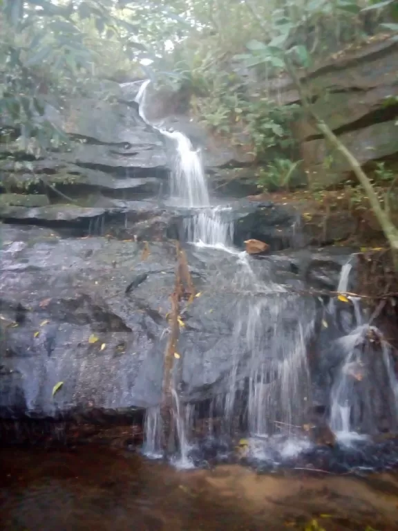MBATOVI PARAGUARÍ: UNA JOYA! 26 HAS, CON CASACADAS Y ARROYOS IDEAL P TURISMO Y QUINTA. — foto 3