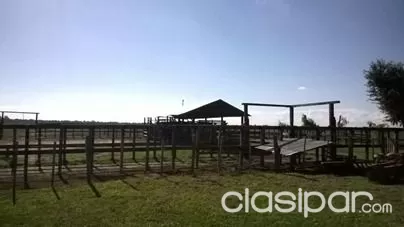 Vendo propiedad en AYOLAS- CORATEI!! 1.700 Hectáreas!!! — foto 2
