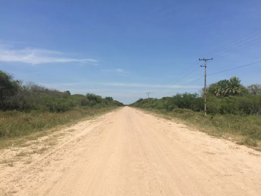 BAJO CHACO 100 Has. sobre la Ruta Internacional Nº 12 Colonia General Bruguéz — foto 2