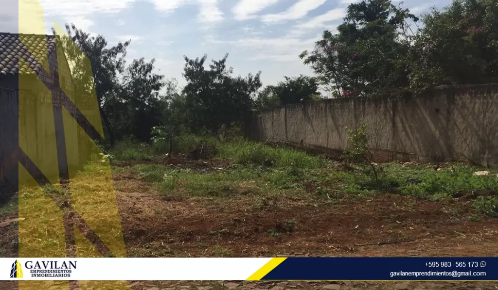 Terreno CDE en venta — foto 2