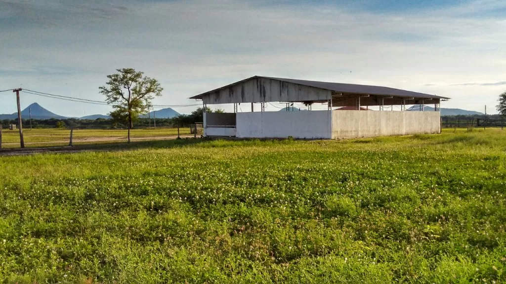 CARMELO PERALTA – ALTO PARAGUAY (CHACO): 7.000 HECTÁREAS EN VENTA, ESTANCIA MODELO — foto 2