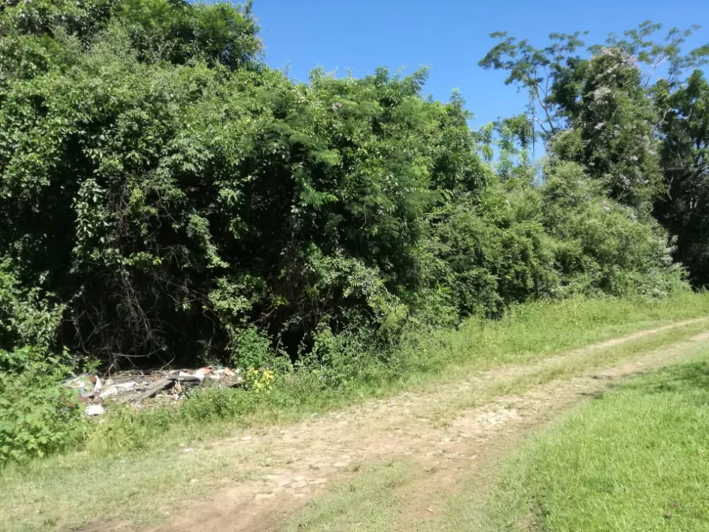 Vendo terreno en San Bernardino urbani. SADI — foto 2