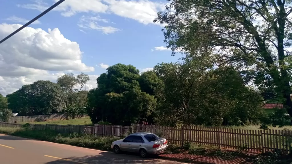 VENDO HERMOSOS TERRENOS CON EXCELENTE UBICACIÓN EN CURUGUATY!!!! — foto 3