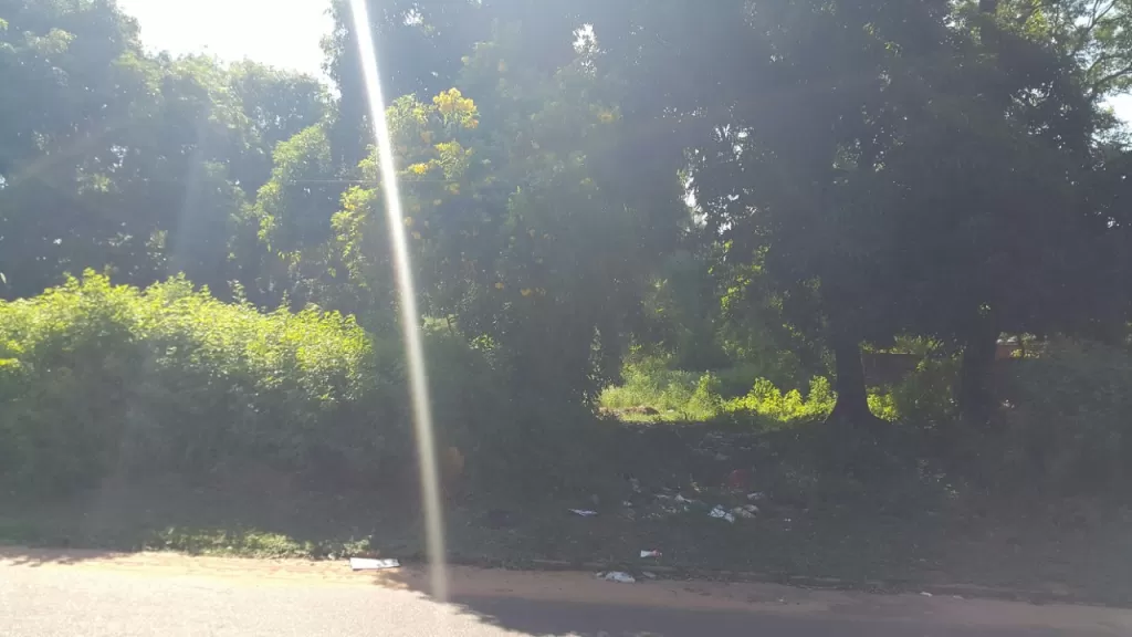 VENDO TERRENO EN PLENO CENTRO DE GUARAMBARE — foto 3
