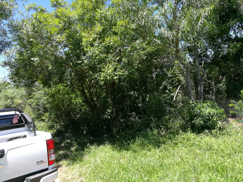 Vendo 2 terrenos juntos en la Ciudad de Itacurubi de la Cordillera a 50 metros de la Ruta2 — foto 3
