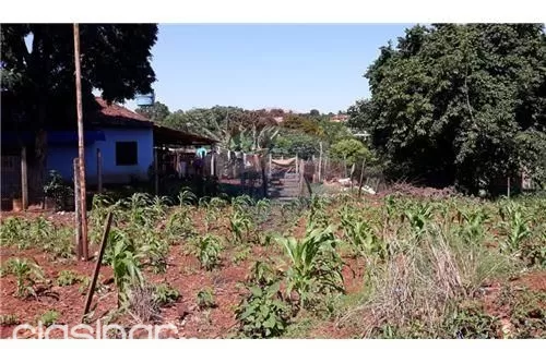VENDO TERRENO EN CDE 15X24 — foto 2