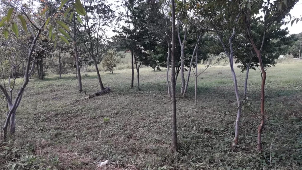 Terreno zona San Bernardino-Altos — foto 2