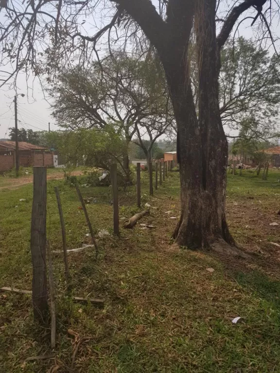 Vendo 2 hermosos lotes juntos o separados en Mariano — foto 3