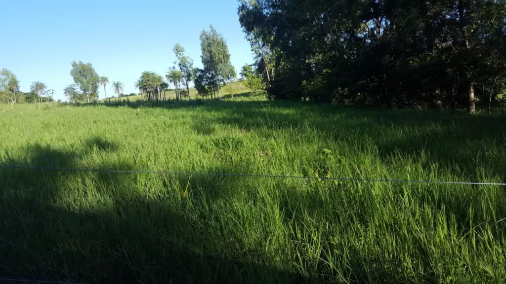 En venta Propiedad Ganadera zona Sapucaí Paraguarí. — foto 2