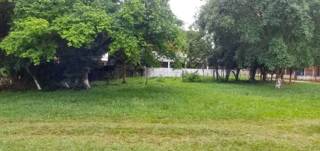 ➡ ENCARNACIÓN - TERRENO EN VENTA — foto 2