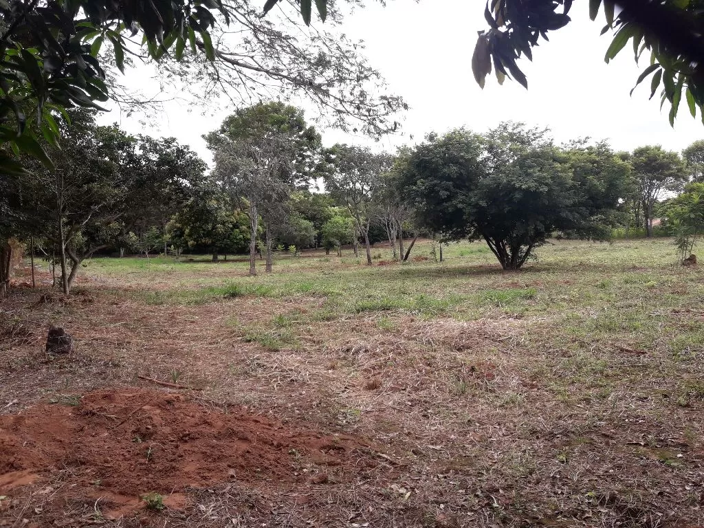 Terrenos sobre asfalto en Piribebuy — foto 2