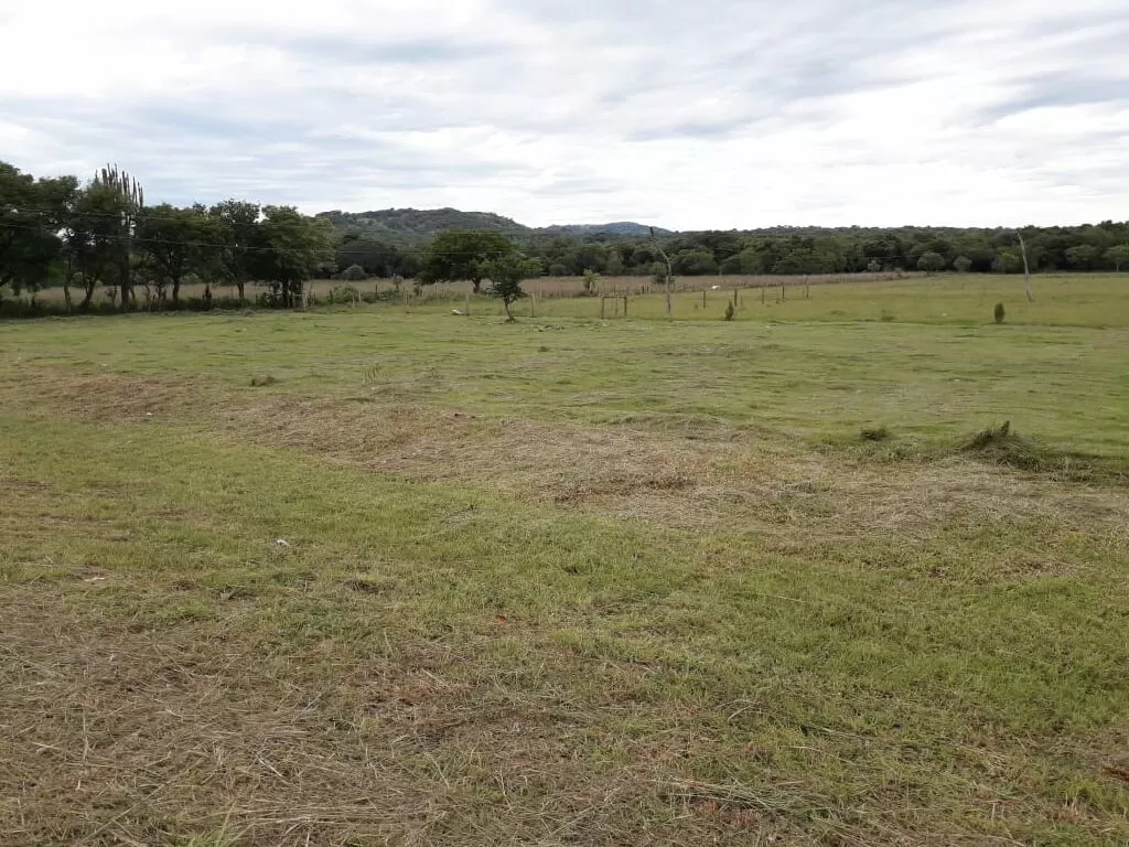 Ultimo lotes en Paraguari Escobar — foto 3