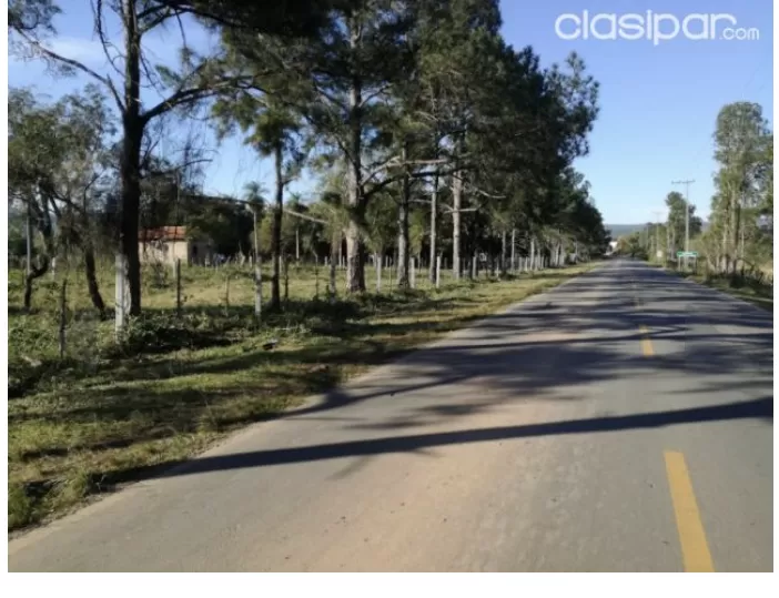 Remató terreno zona Pirayu — foto 3