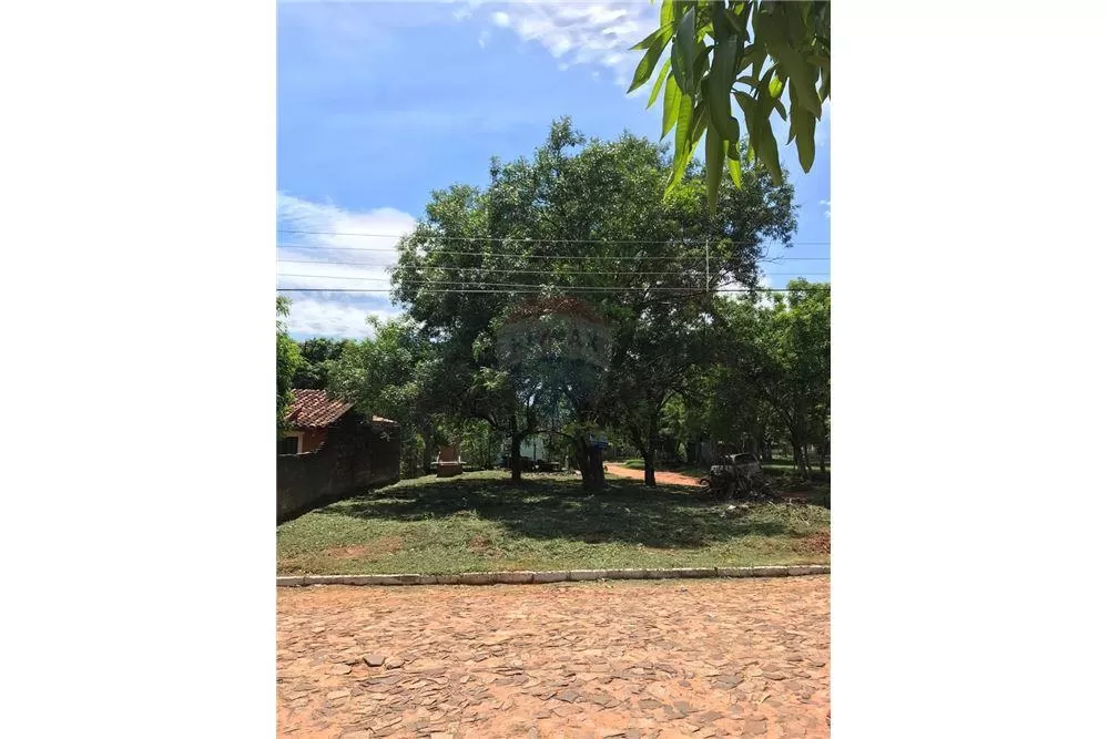 TERRENO EN ESQUINA DE LUQUE!!! — foto 2