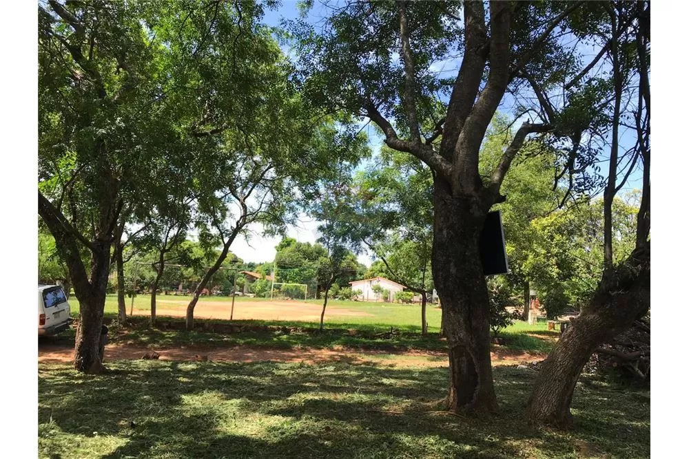 TERRENO EN ESQUINA DE LUQUE!!! — foto 3