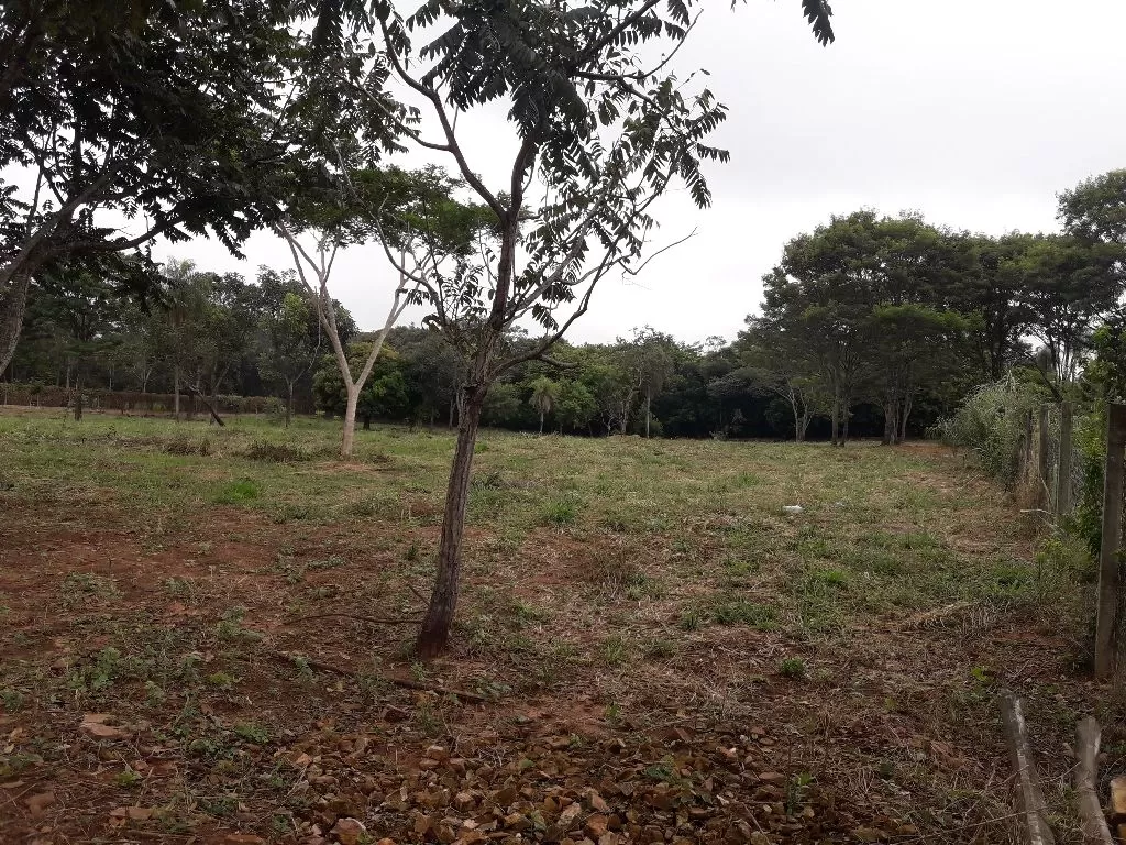 Terrenos a 30 metros dl asfalto en Piribebuy — foto 3