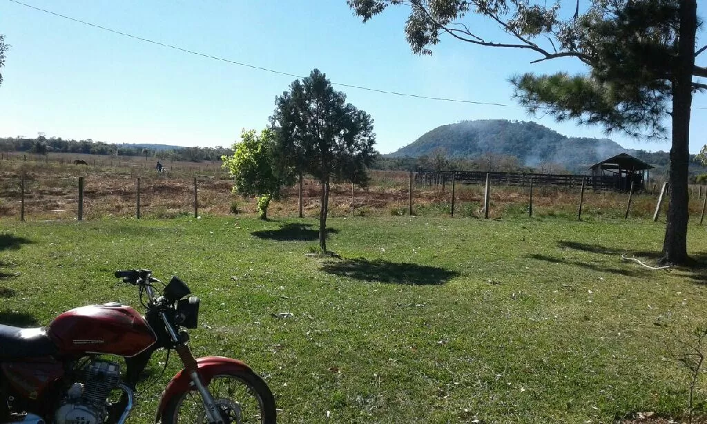 VENDO 1.195 HECTÁREAS EN ITAPUA — foto 2