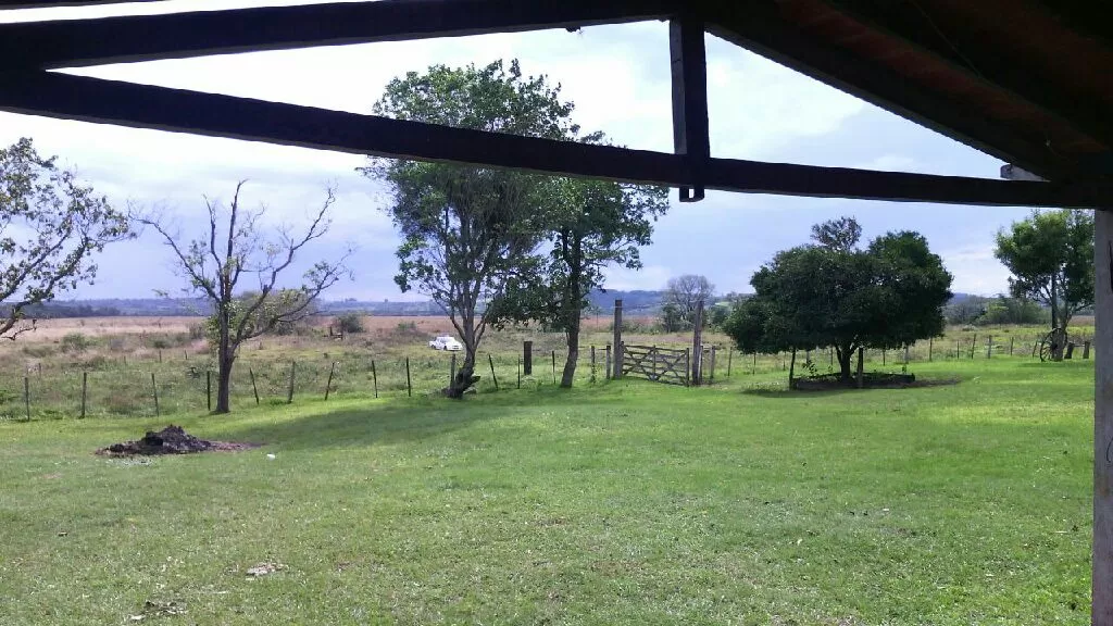 VENDO 1.195 HECTÁREAS EN ITAPUA — foto 3