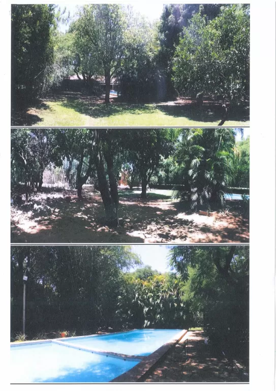 FABULOSA QUINTA FNDO. DE LA MORA ZONA NORTE. SUPERFICIE: 5.735 m2 — foto 3