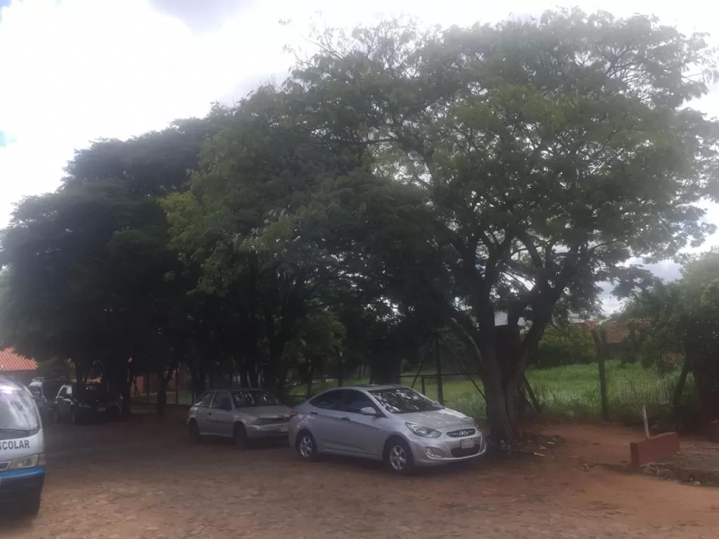 VENDO TERRENO ZONA UNIVERSIDAD NACIONAL. SUPERFICIE 1140 M2 — foto 3