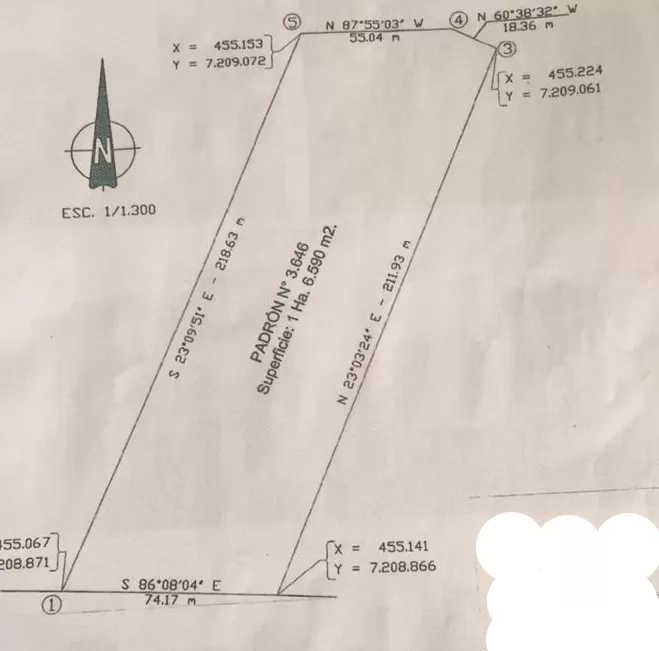 16.580 MTS2 SOBRE RUTA LUQUE SANBER — foto 2