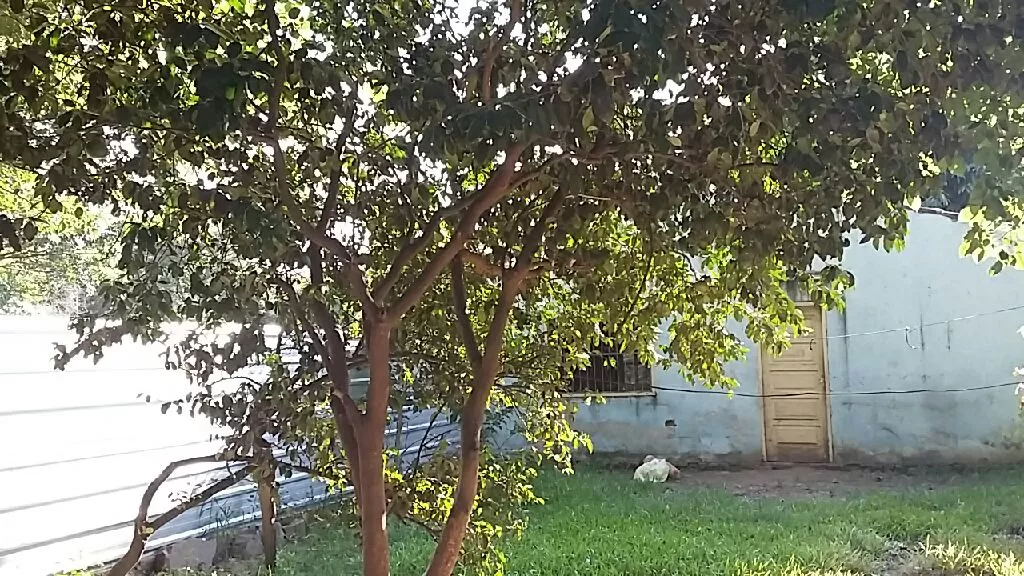 Vendo Casa en Fracción jardín de París-Luque — foto 3