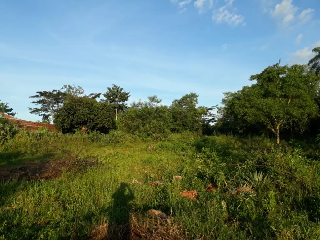Vendo terreno en Santa Rosa del Aguaray — foto 2