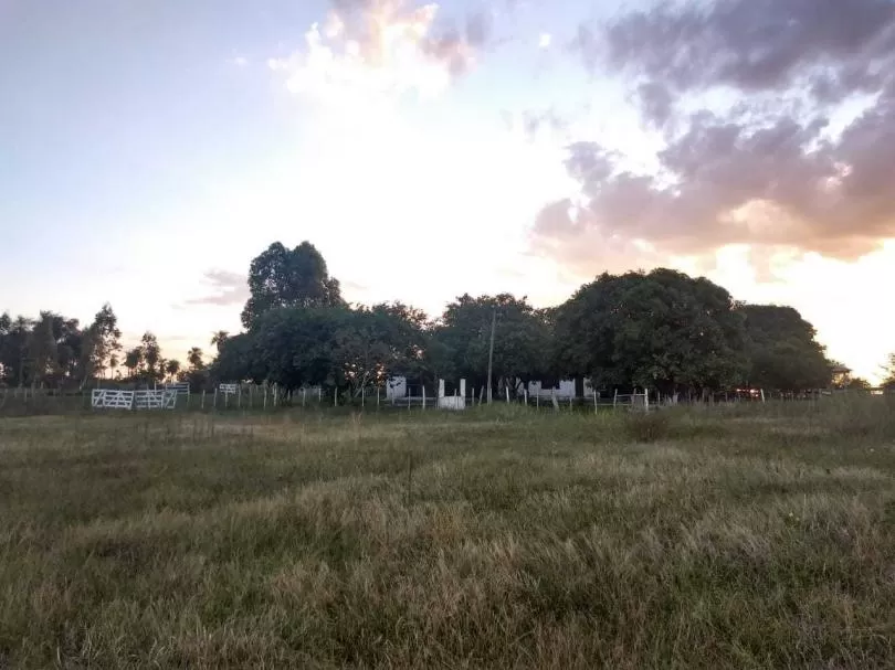 VENDO GRANJA EN QUIINDY, PRAGUARI!!! — foto 2
