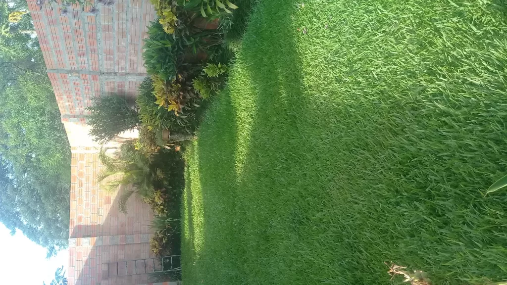 Vendo Hermosa CASA en Luque — foto 3