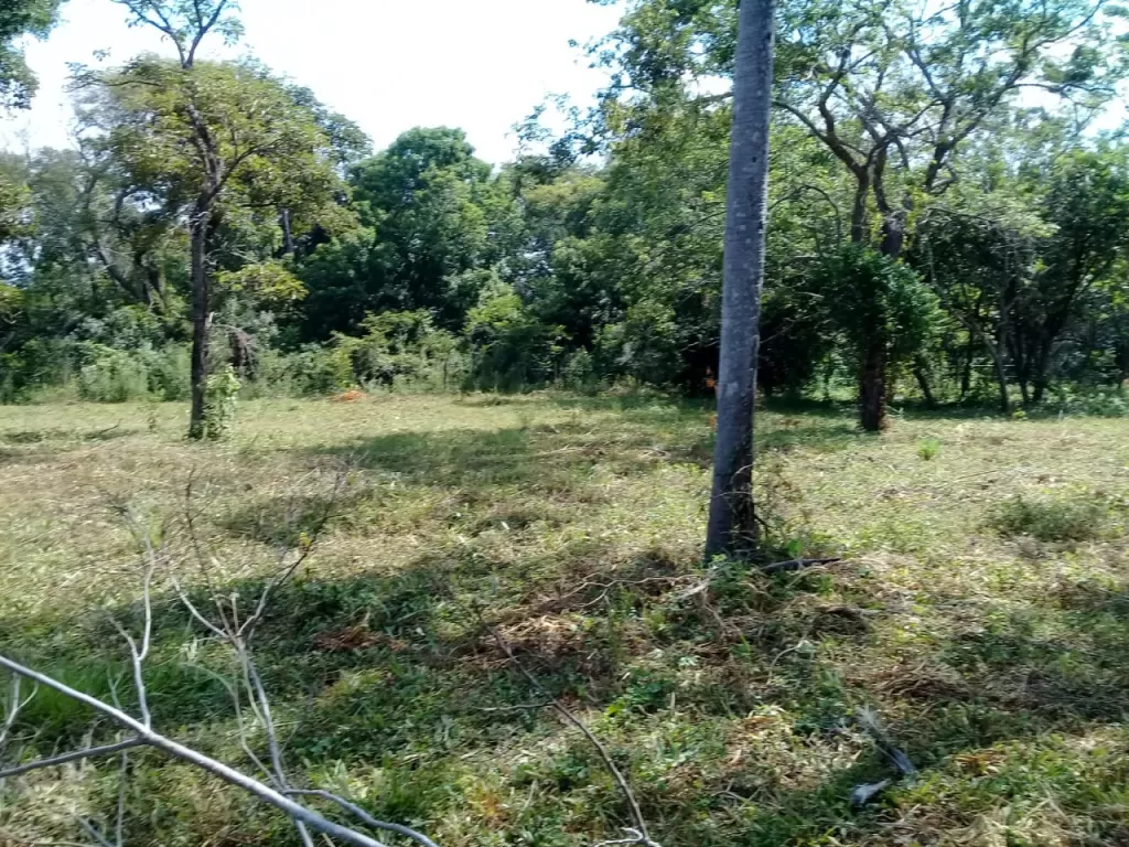 Vendo 14 terrenos en Luque YUKYRY a 400 metros de la nueva ruta asfaltada Luque Aregua — foto 2