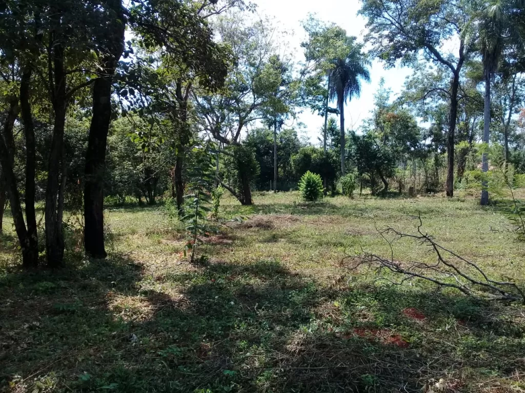 Vendo 14 terrenos en Luque YUKYRY a 400 metros de la nueva ruta asfaltada Luque Aregua — foto 3