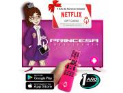 TV de Barbie Full HD Smart Netflix Youtube