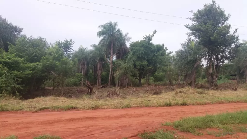 Hermoso terreno en Ypane — foto 2