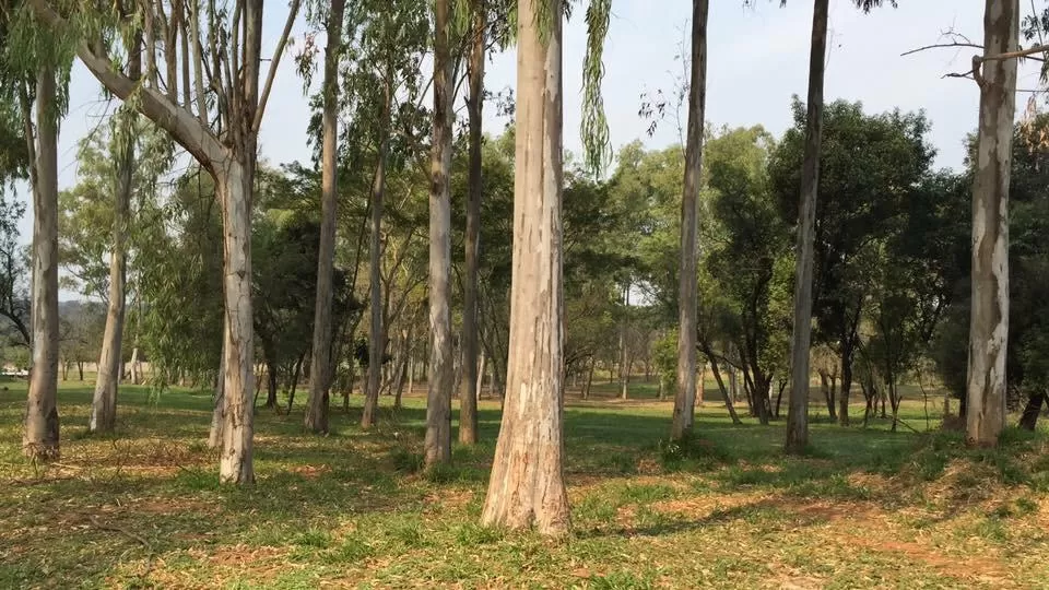 VENDO TERRENO EN SURUBII — foto 3