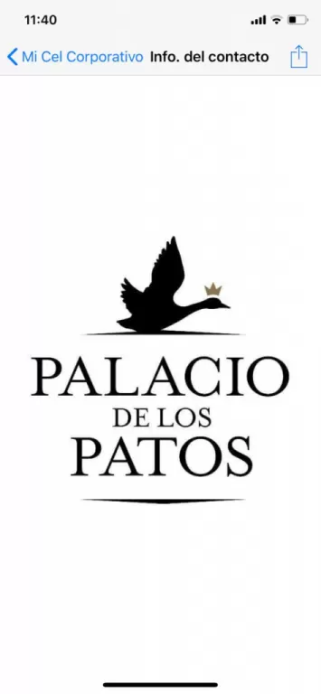 DEPARTAMENTO AMOBLADO EN PALACIO DE LOS PATOS — foto 2
