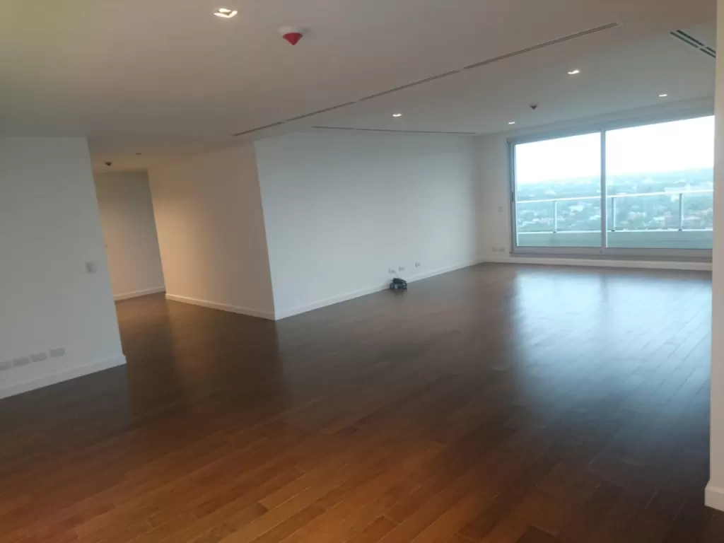 HERMOSO DEPARTAMENTO EN PALACIO DE LOS PATOS — foto 2