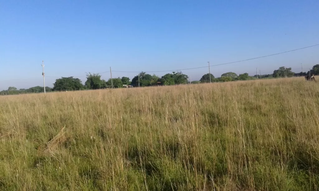 vendo terreno cerca del camino ypane_villeta!!! — foto 3