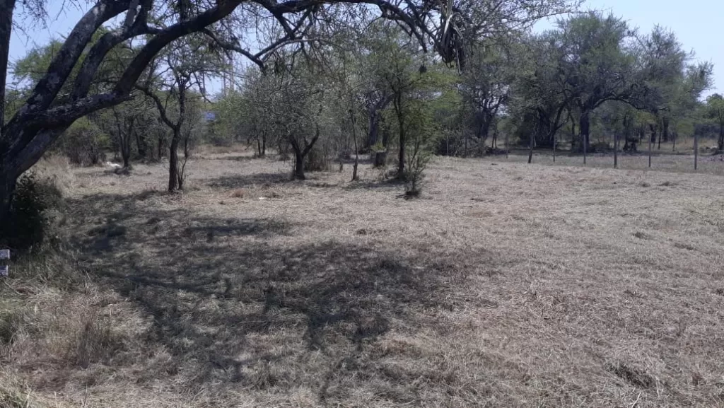 VENDO TERRENO EN VILLA FRANCA ACEPTO VEHICULO O TERRENO A CUENTA Y SALDO EN EFECTIVO — foto 3