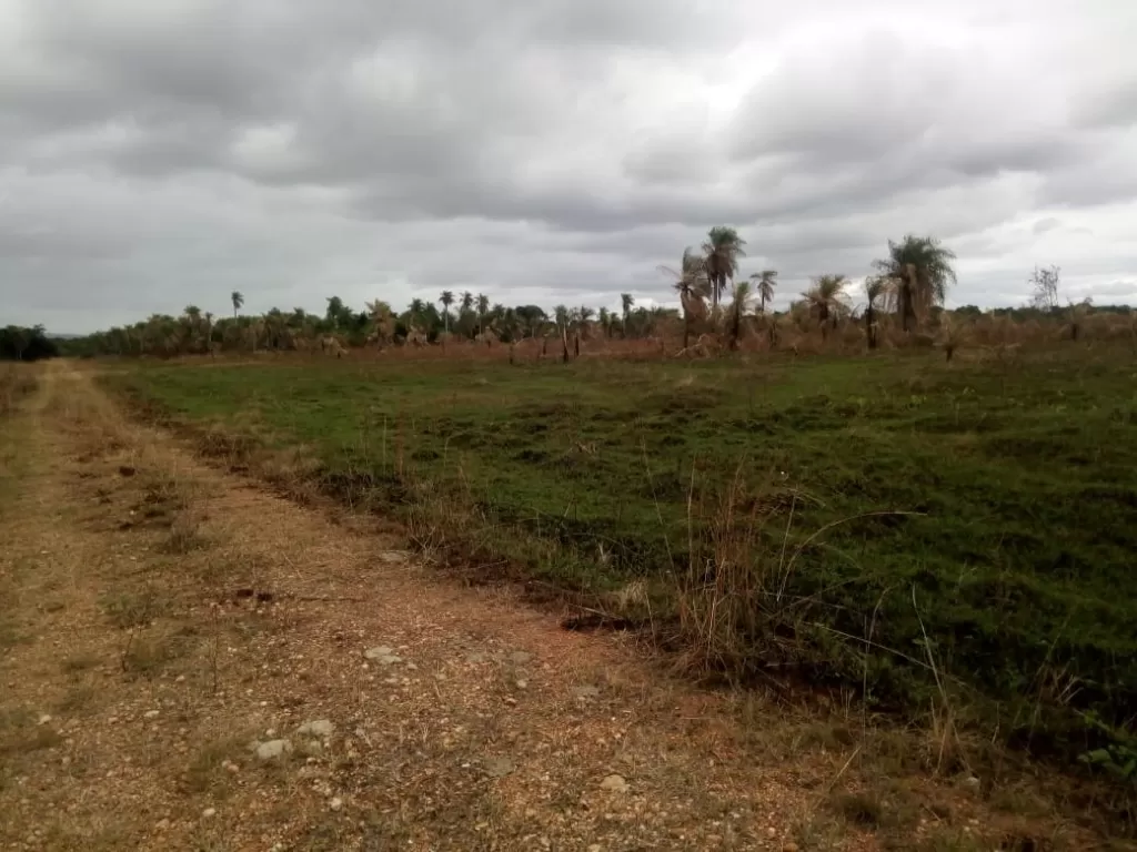 REMATO TERRENO EN SAN BER - EL CORTIJO — foto 2