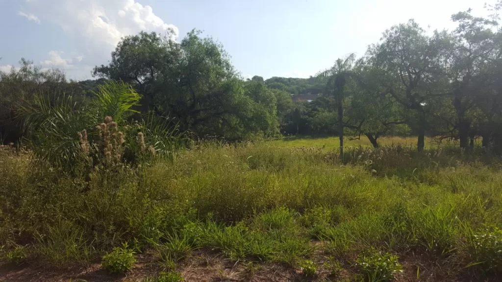 Vendo terreno en Surubi-í — foto 2