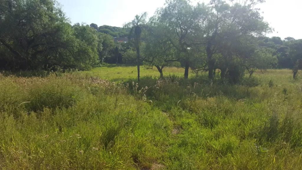 Vendo terreno en Surubi-í — foto 3