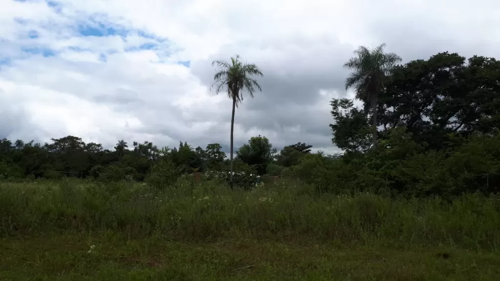 VENDO DOS TERRENOS - JUNTOS O SEPARADOS!!! - ATYRA — foto 2