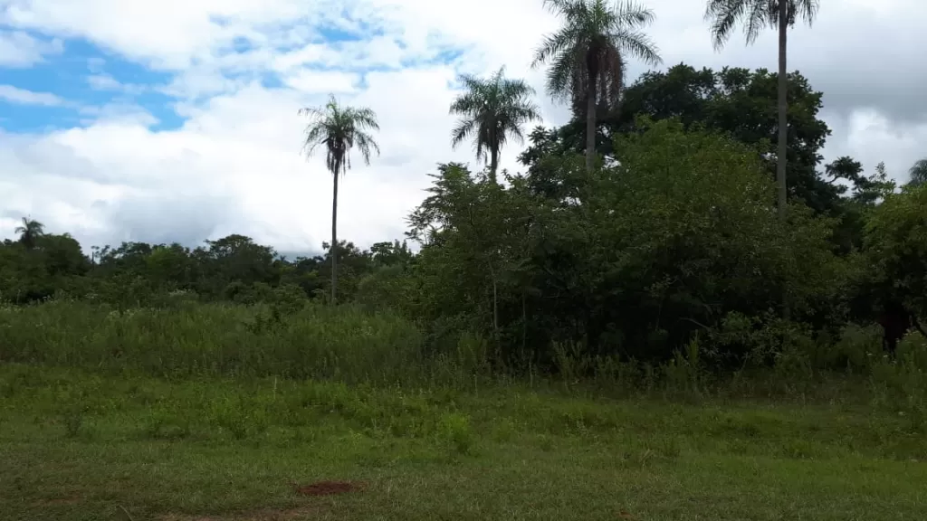 VENDO DOS TERRENOS - JUNTOS O SEPARADOS!!! - ATYRA — foto 3