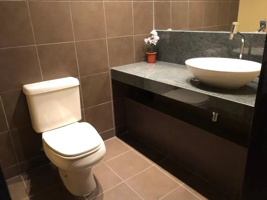 DEPARTAMENTO DE 300 M2 AMOBLADO EN EL CENTRO — foto 3