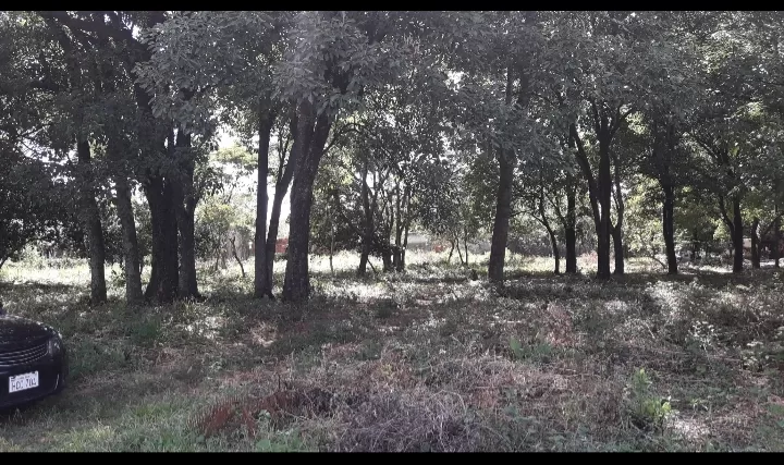 Vendo terreno en Mariano Roque Alonso — foto 3