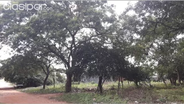 Vendo terreno en Mariano Roque Alonso — foto 2