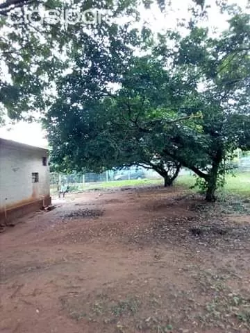 REMATO CASA EN LUQUE! — foto 3