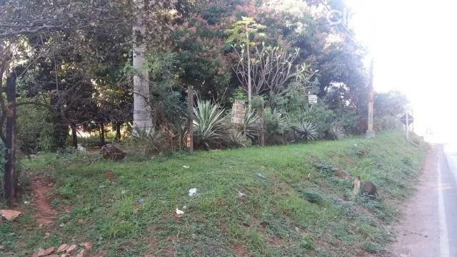 Vendo Terreno Luque — foto 3