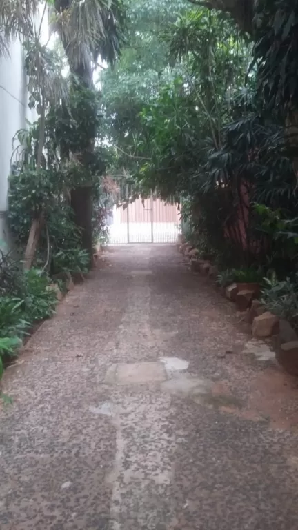 ZONA BOGGIANI — foto 2